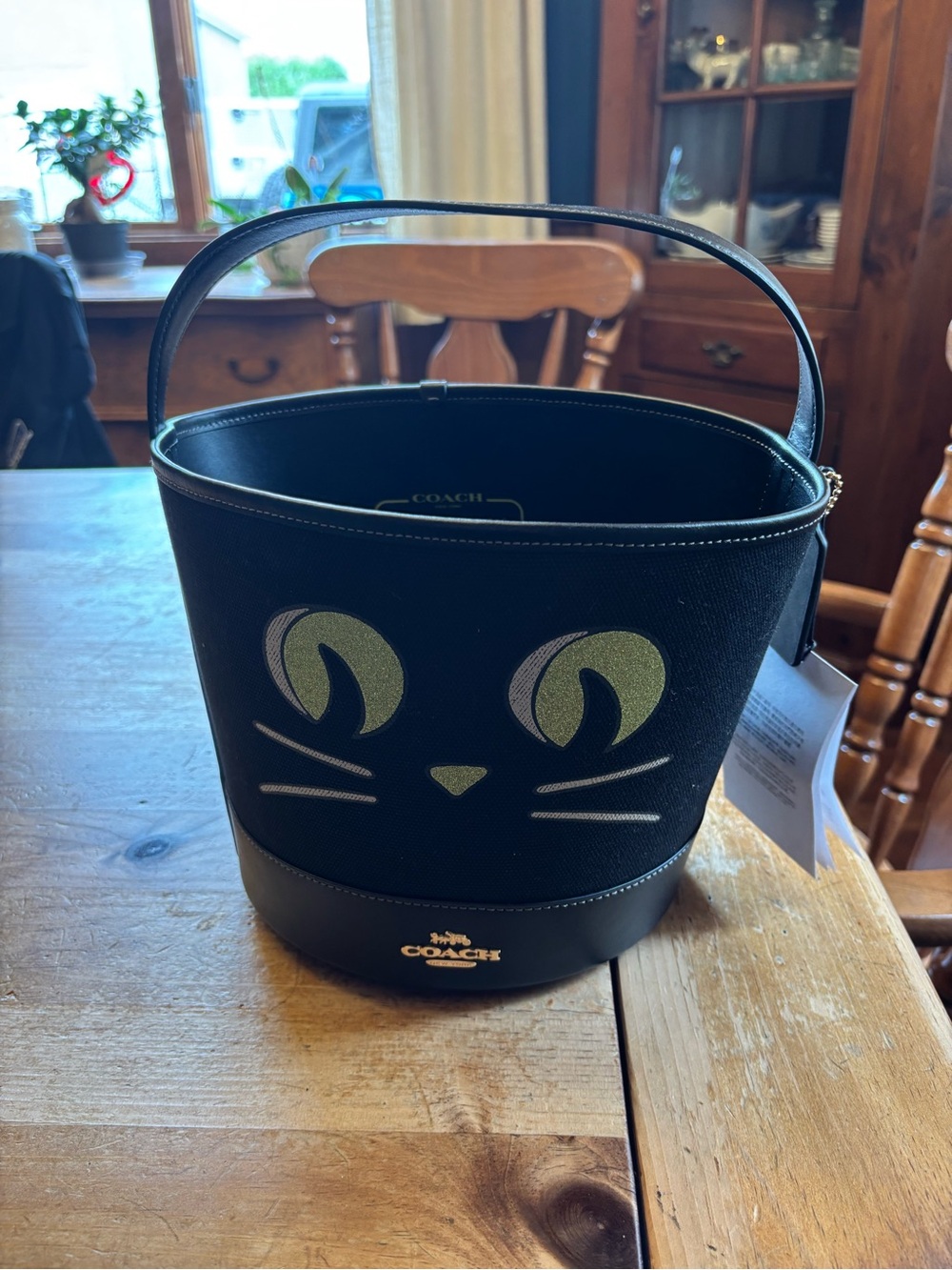 COACH Black Cat Bucket Bag with Green Eye Accents